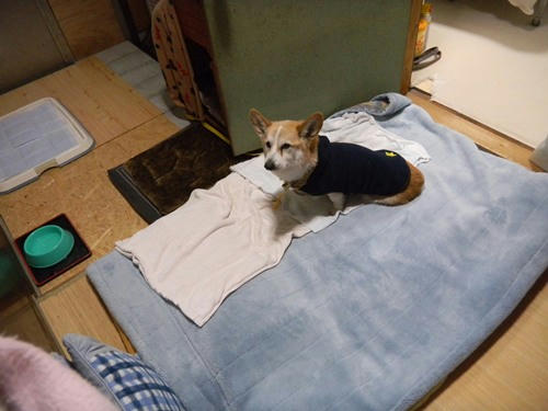 DSCN3217_1.jpg
