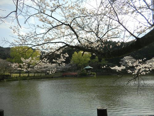 DSCN3326_3.jpg