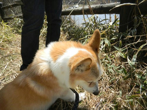 DSCN3359_44.jpg