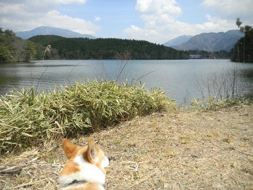 DSCN3393_4.jpg