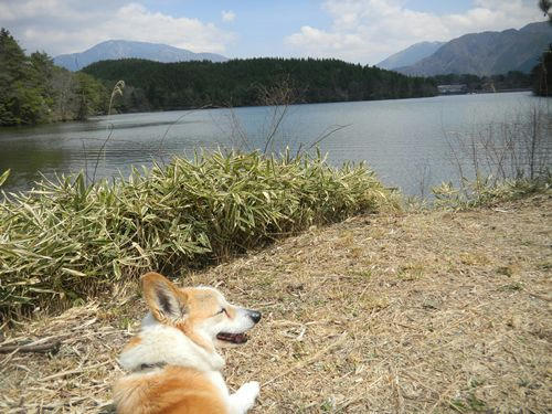 DSCN3394_5.jpg
