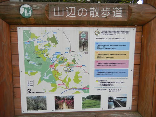 DSCN3441_1.jpg