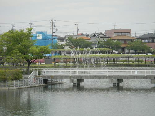 DSCN3451_3.jpg