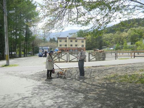 DSCN3469_44.jpg