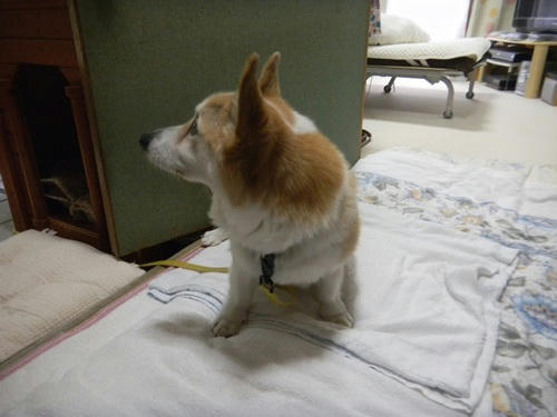 DSCN3477_1.jpg
