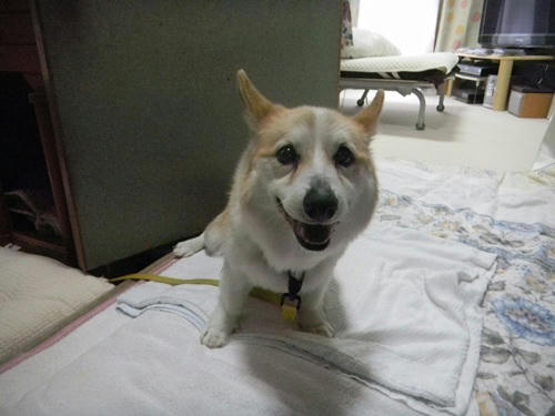 DSCN3478_2.jpg