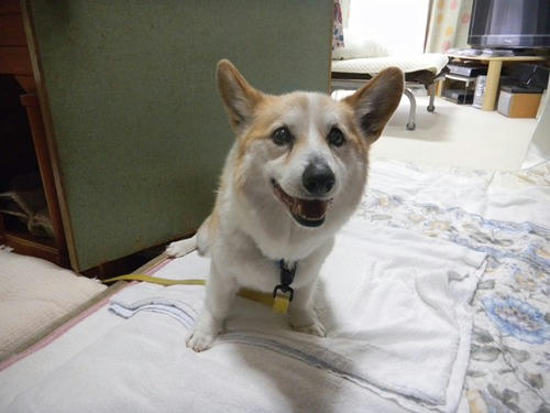 DSCN3479_3.jpg