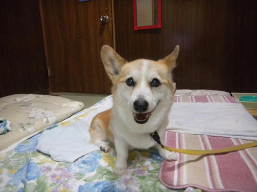 DSCN3599_1.jpg