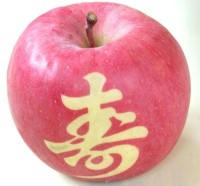 f7abf469.JPG