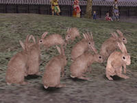 20110101-8.jpg