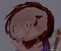 Nol11070103.jpg