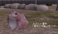 d489d579.jpeg