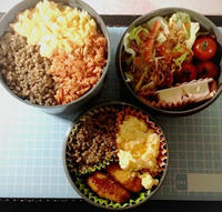 20121127.JPG