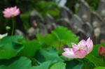 20070708-009.jpg