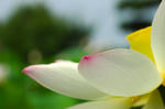 20070708-011.jpg