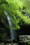 20070916-004.jpg