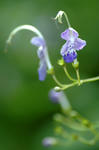 20070918-002.jpg