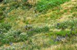 20070918-004.jpg