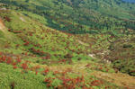20071007-002.jpg