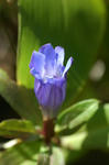 20071007-006.jpg