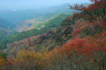 20071110-002.jpg