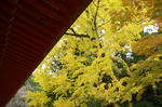 20071122-004.jpg