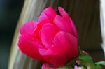 20080105-01.jpg