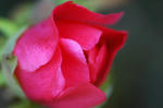 20080105-06.jpg