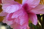 20080105-04.jpg