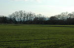 DSC_0967-01.JPG