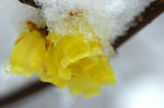 20080209-003.jpg