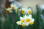 20080209-006.jpg