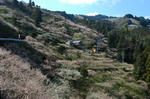 2007march-01.jpg
