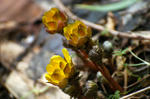 20080216-001.jpg