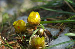 20080216-002.jpg