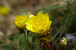 20080216-004.jpg