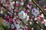 20080302-001.jpg