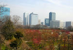 20080302-008.jpg