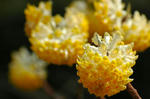 20080315-002.jpg