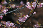 20080315-003.jpg