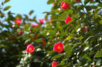 20080315-007.jpg