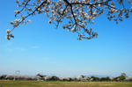 20080404-001.jpg