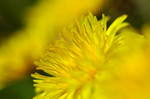 20080404-002.jpg
