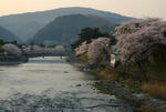 20080406-009.jpg