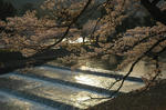 20080406-001.jpg