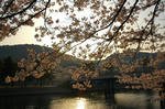 20080406-007.jpg