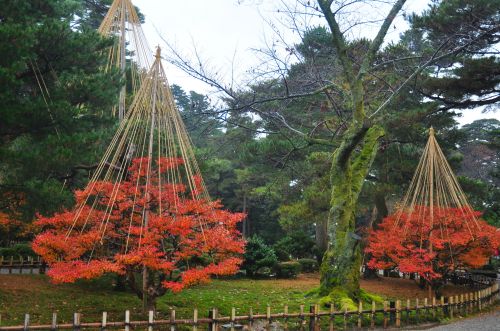 20121130-42.JPG