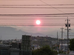 aP1020781.jpg