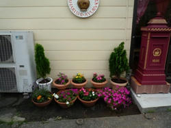 aP1020912.jpg