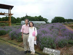 aP1030003.jpg